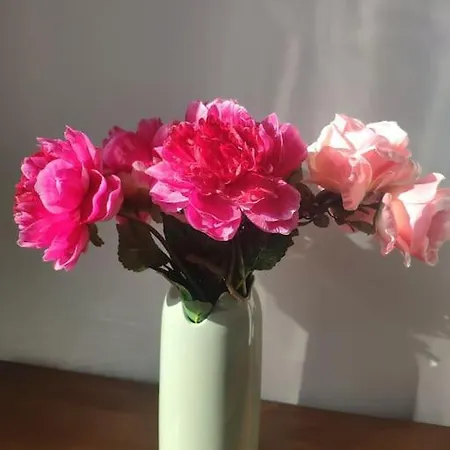 Les Coquelicots Honfleur